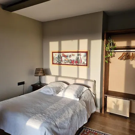 Casa * La Nou de Gaia